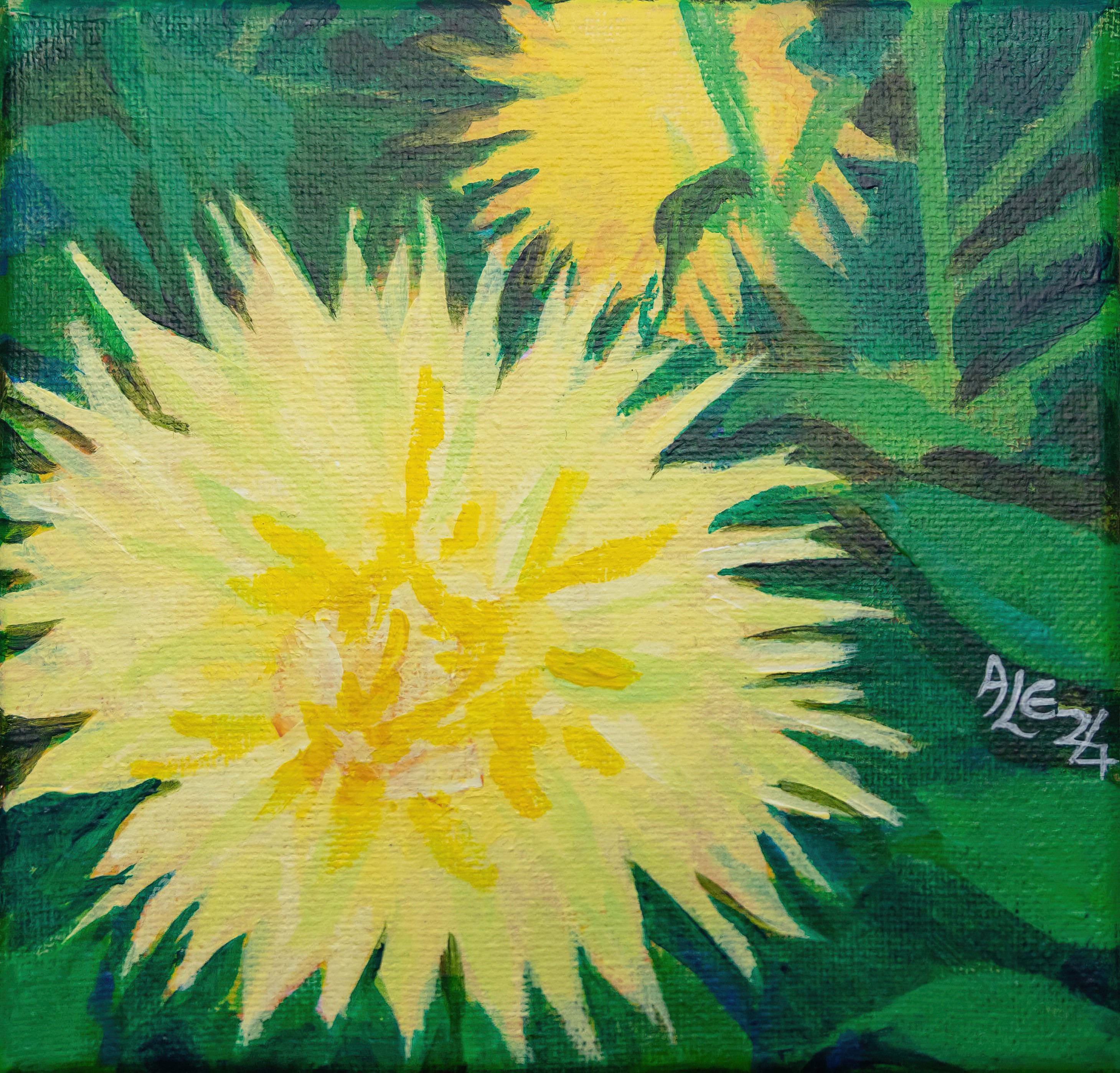Two big Yellow Dahlia heads in foliage