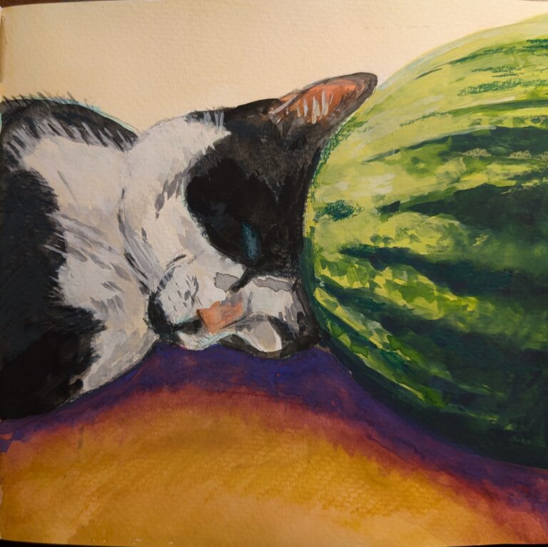 A tuxedo cat asleep next to a watermelon