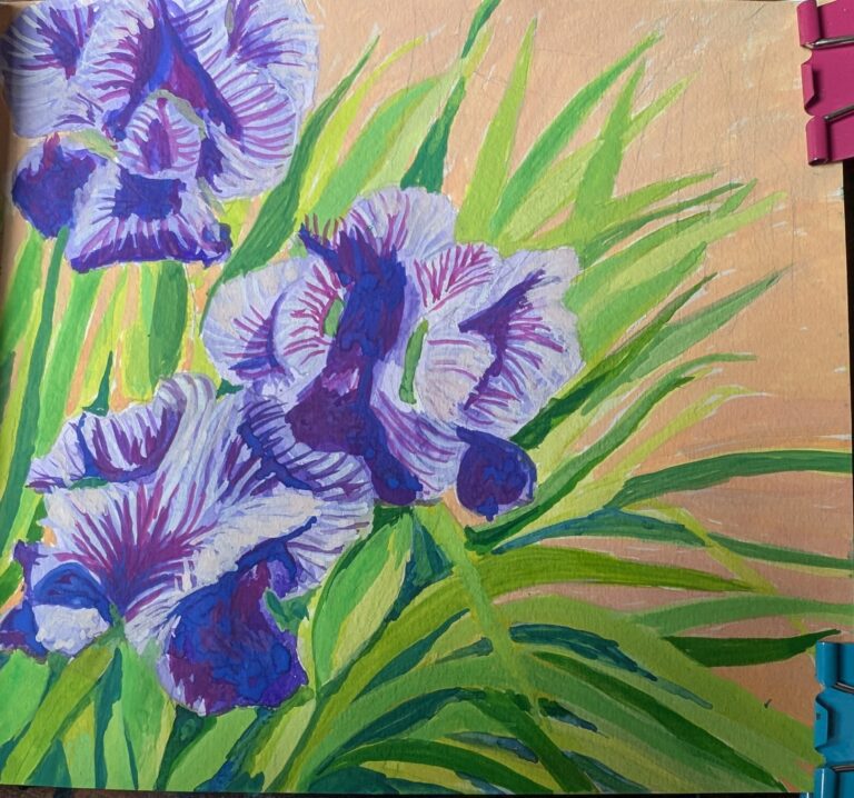 Three blue-purple Irises