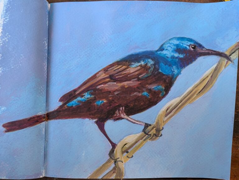 A sunbird on a wire