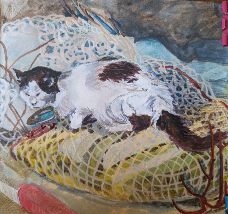 A cat sleeping on fishing nets