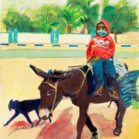 Young boy sitting on a brown donkey